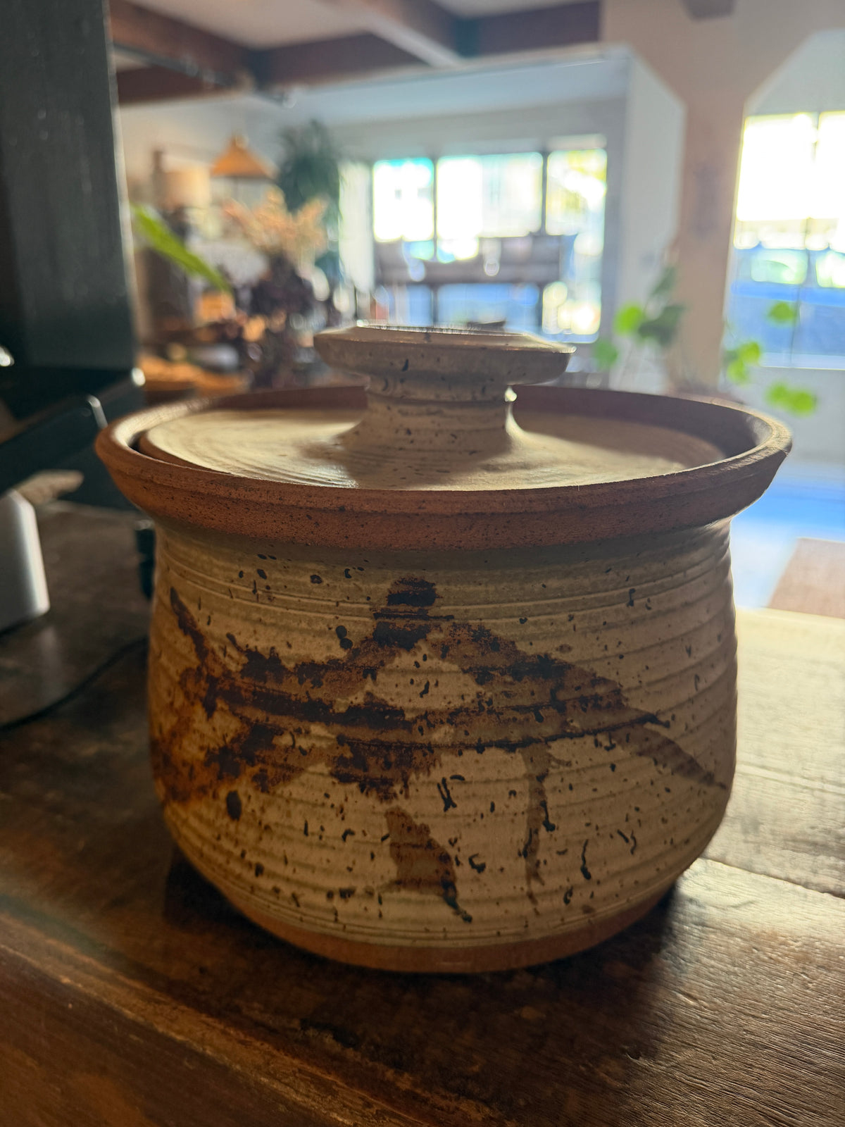 Ceramic Lidded Pottery