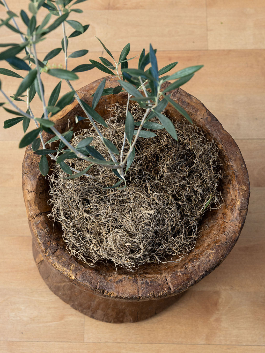 Hand-Carved Wooden Mortar Planter