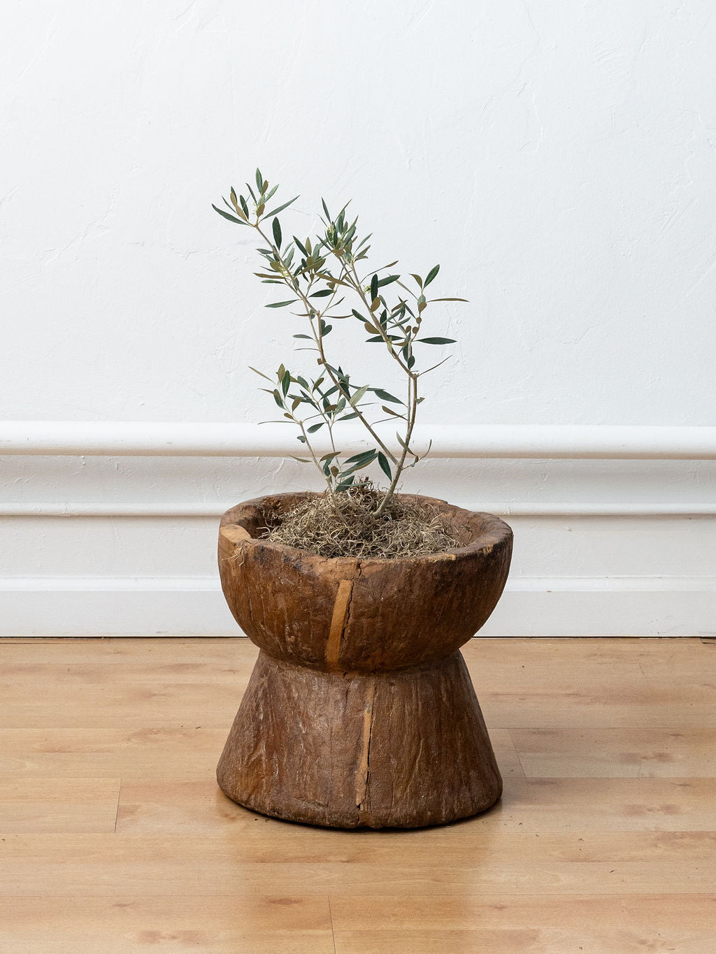 Hand-Carved Wooden Mortar Planter