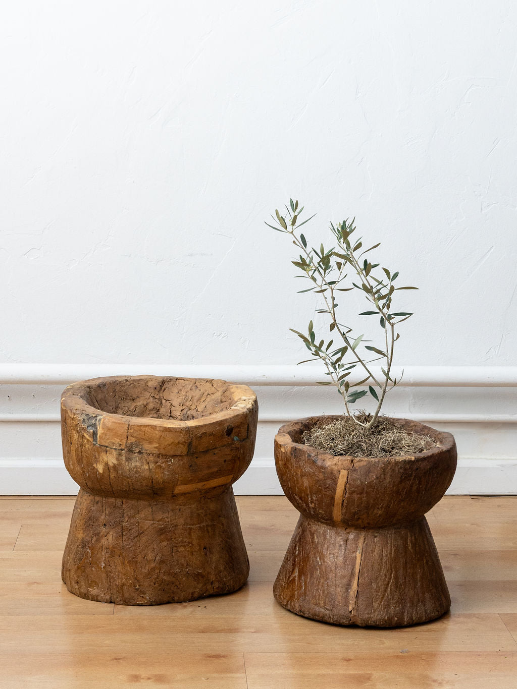 Hand-Carved Wooden Mortar Planter