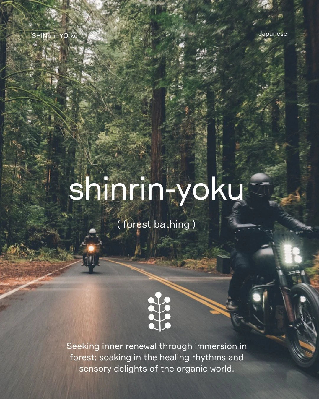 shinrin-yoku (forest bathing) candle