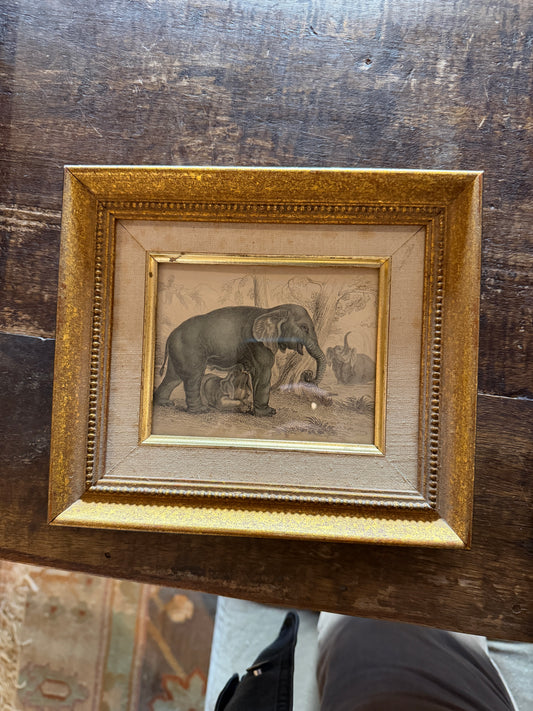 Vintage Framed Elephant Etching