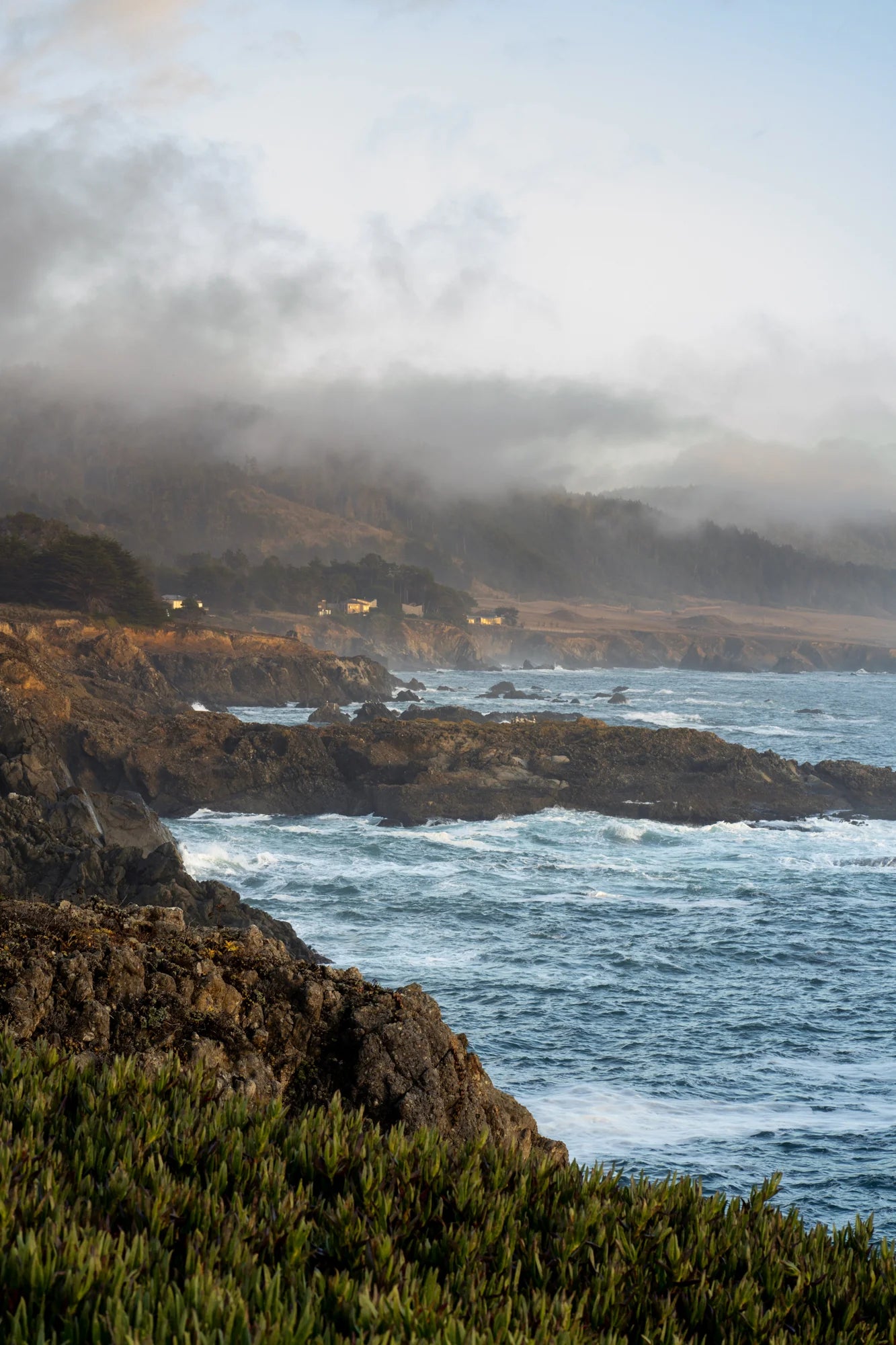 Echoing Waves