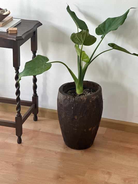 Hand-Carved Wooden Planter