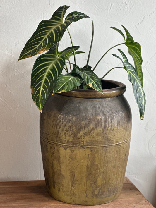 Vintage Miju Pot