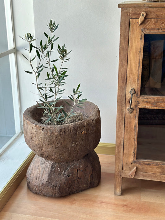 Hand-Carved Wooden Mortar Planter