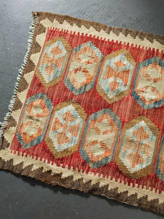 Small Pakistani Rug