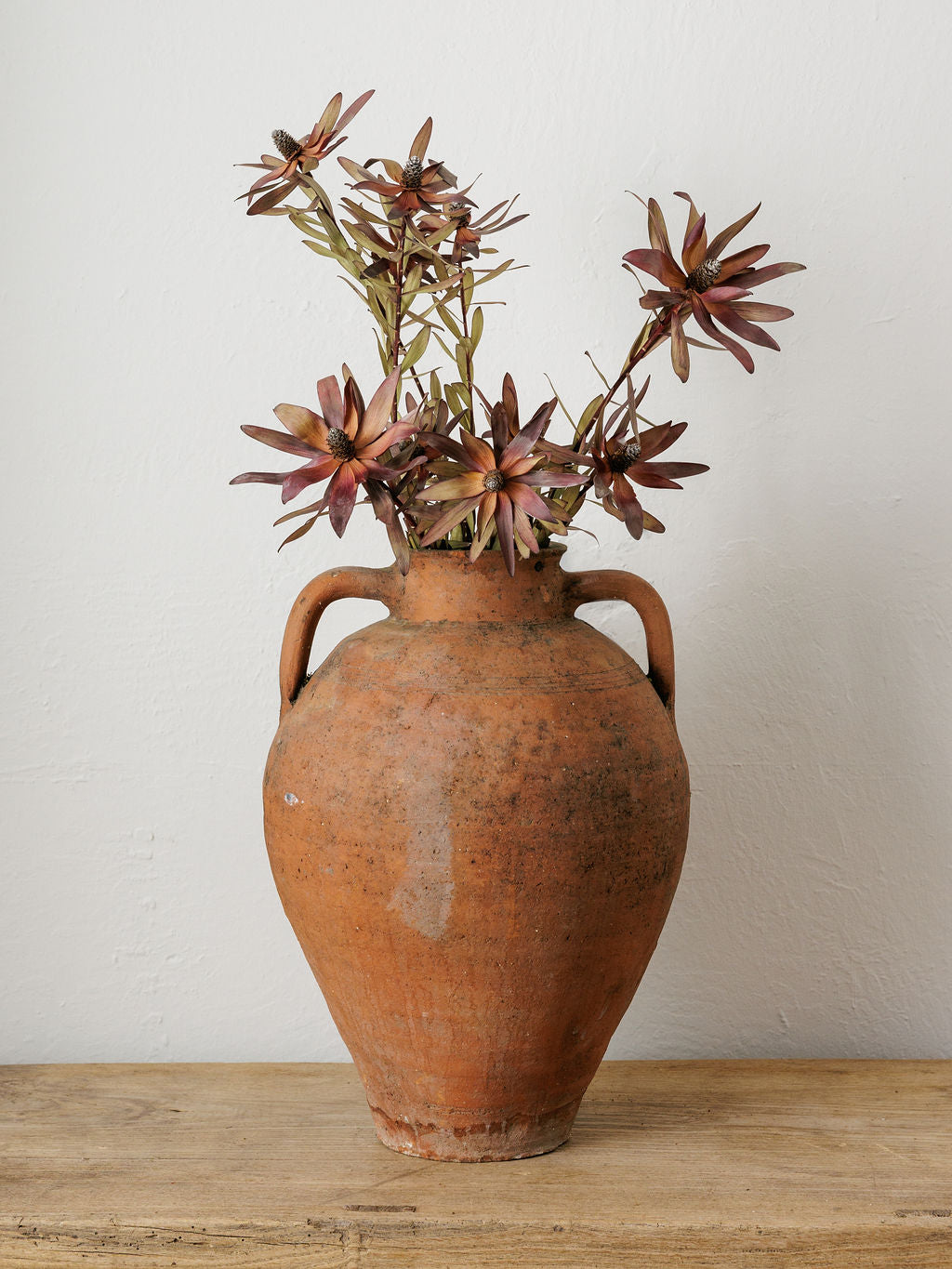 Medium Turkish Pot with Handles