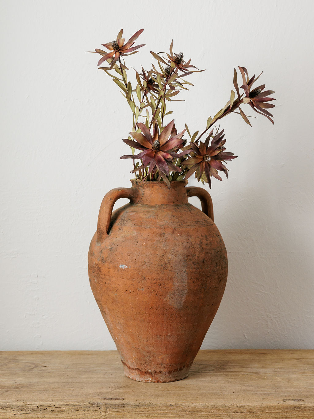Medium Turkish Pot with Handles