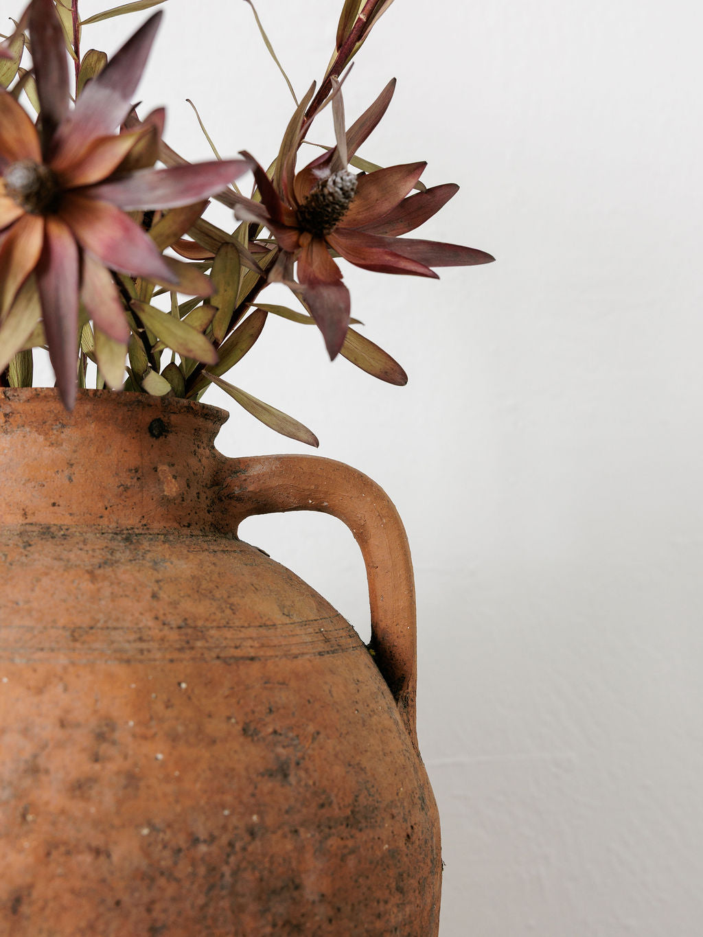 Medium Turkish Pot with Handles