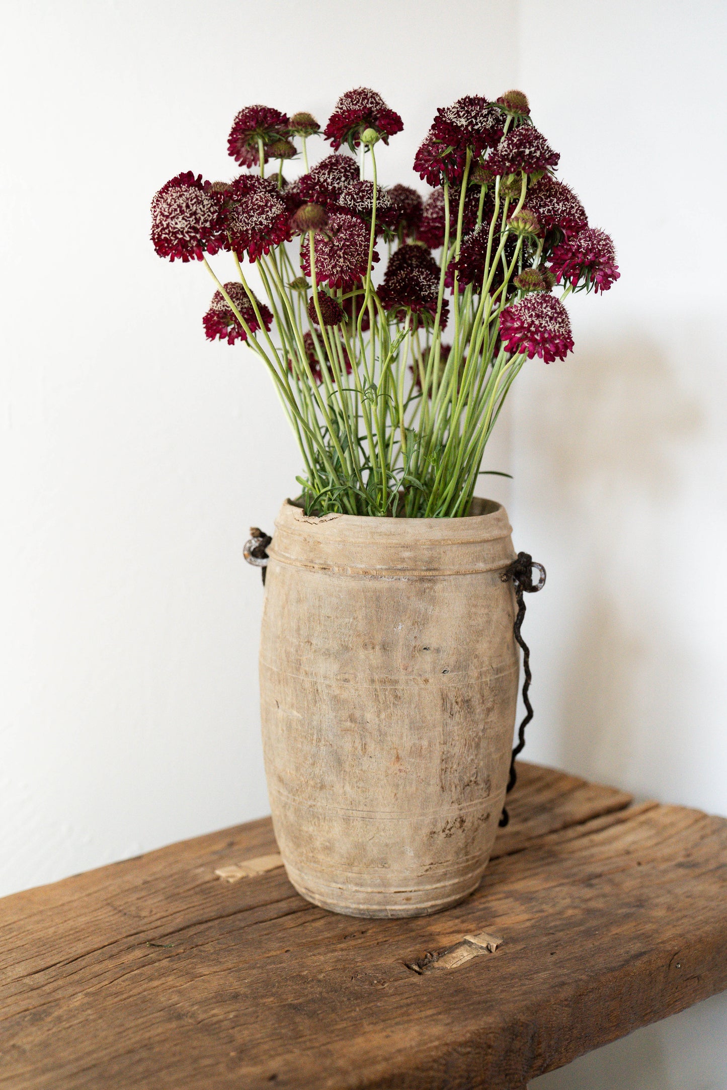 Wood pot with rope handle