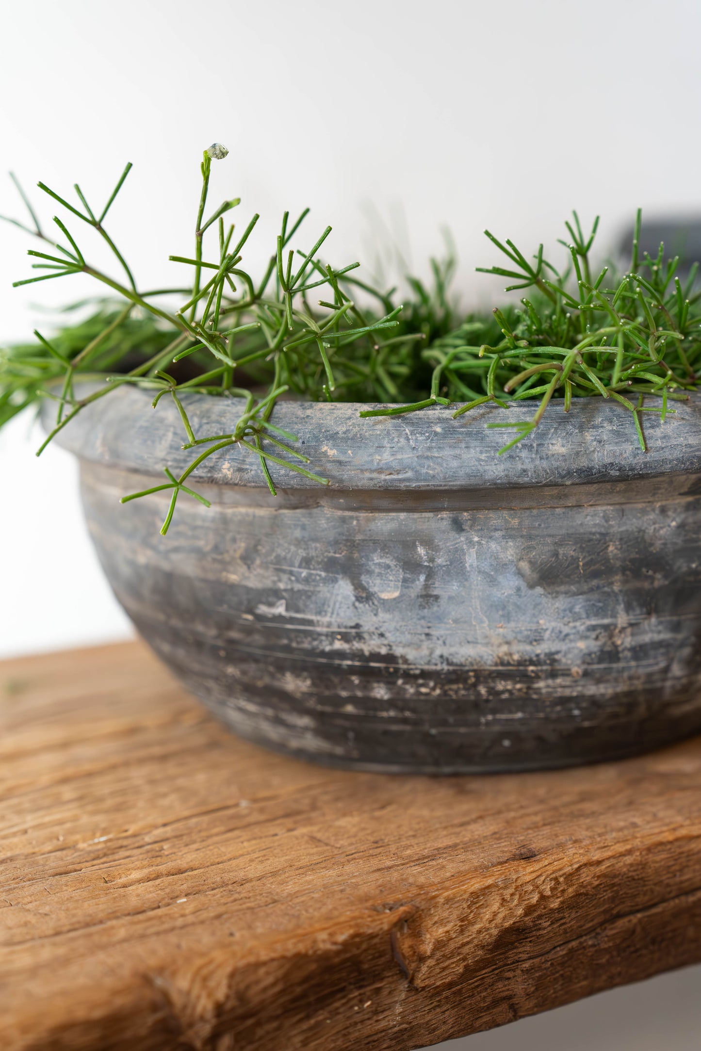Clay Bowl