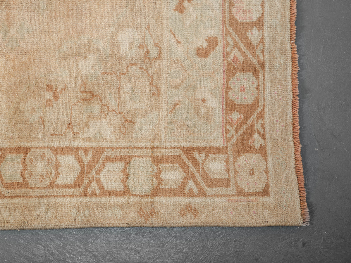 Remy Rug